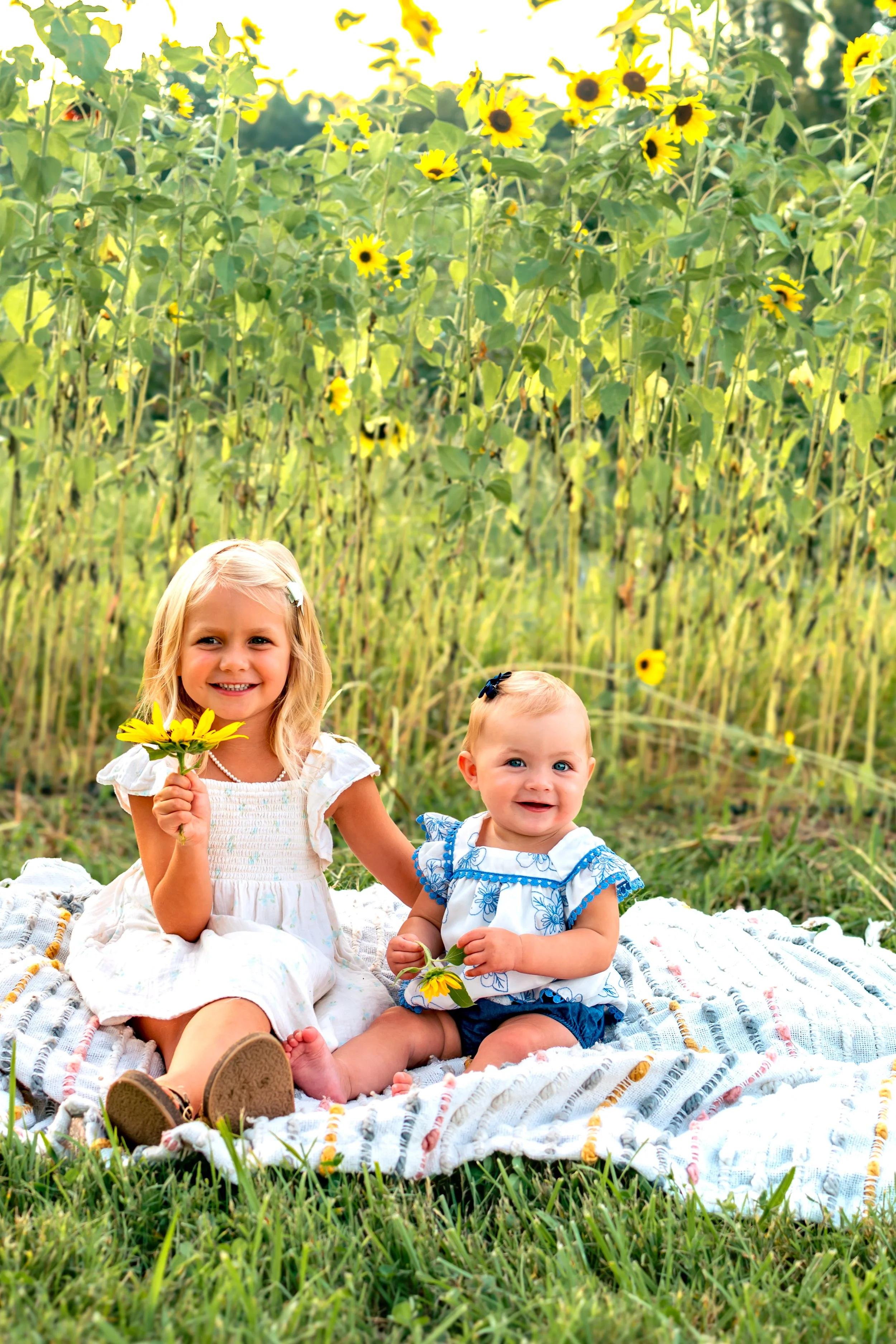 Sladek Sunflower-86.jpg