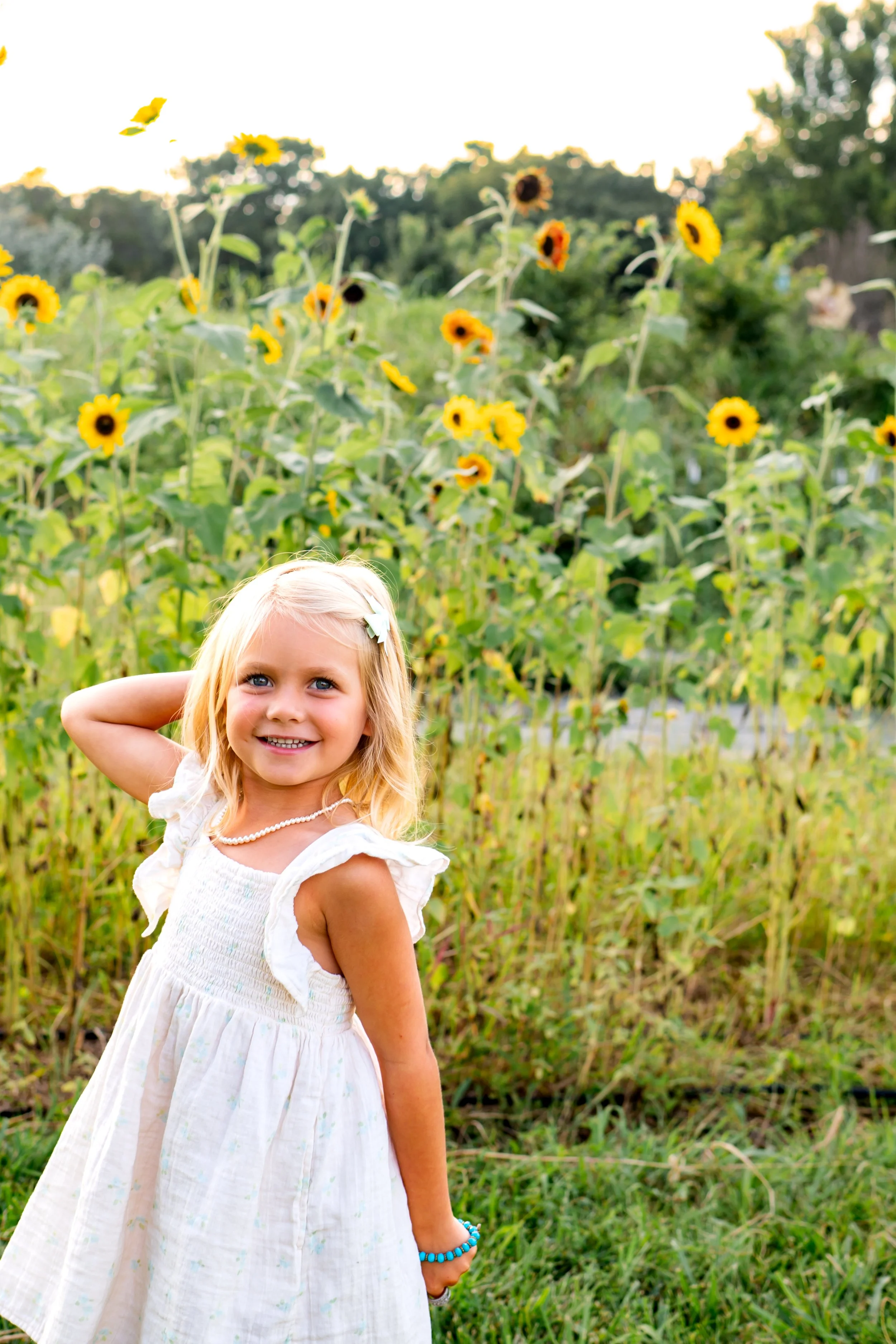 Sladek Sunflower-19.jpg