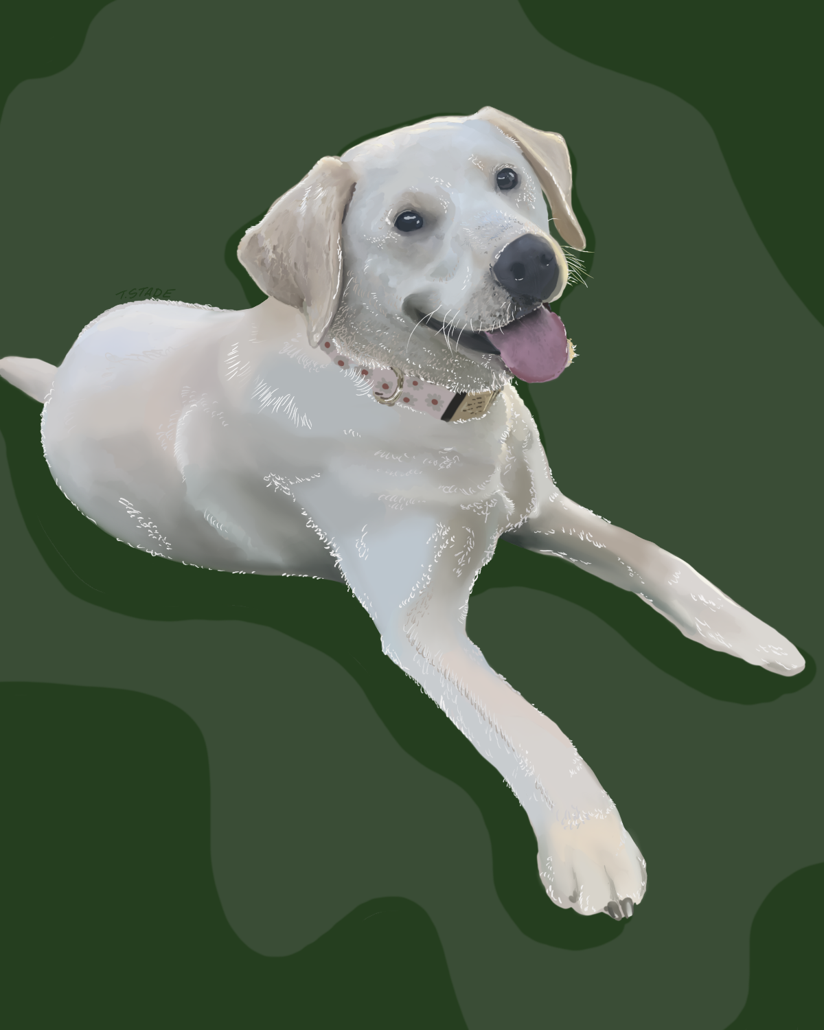 Untitled_Artwork 57.png