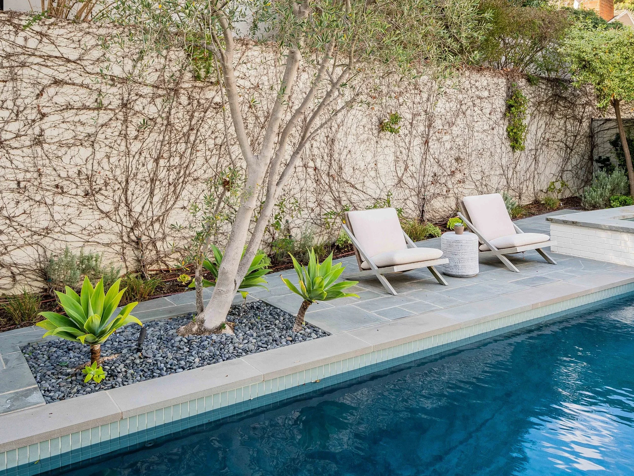 A backyard poolside area with lounge chairs, plants, and a wall covered in intertwined vines.