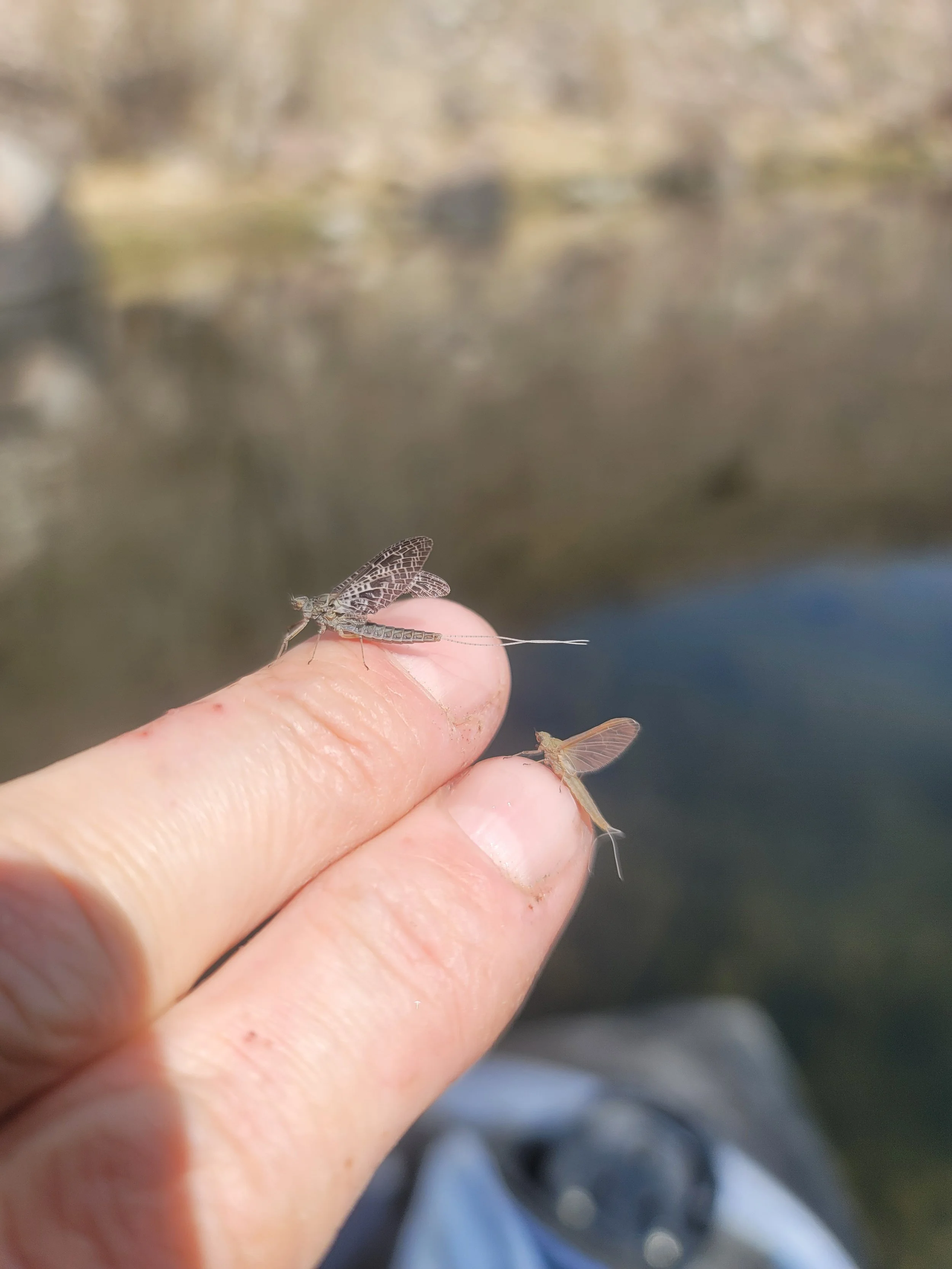 Pleasant Valley Reservoir