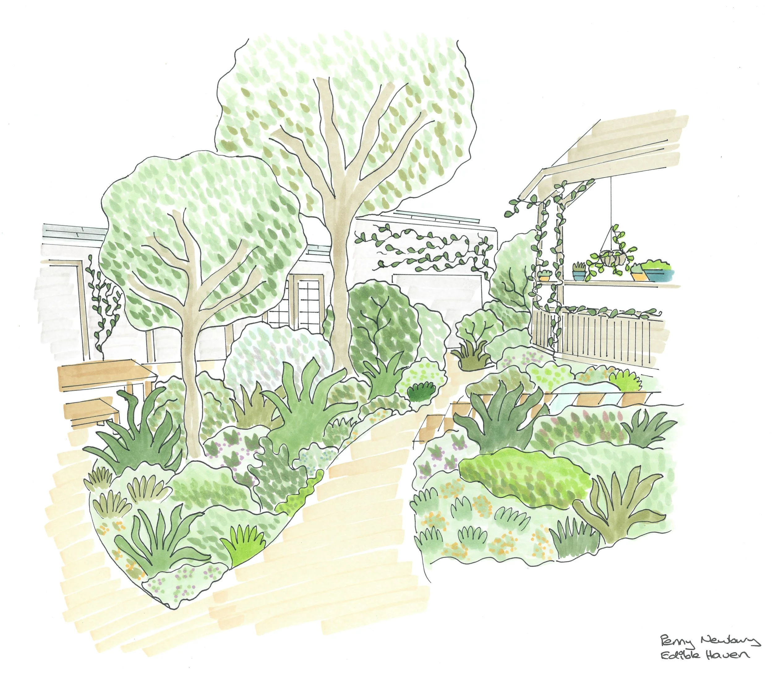 Byard perscpective fow website.jpg