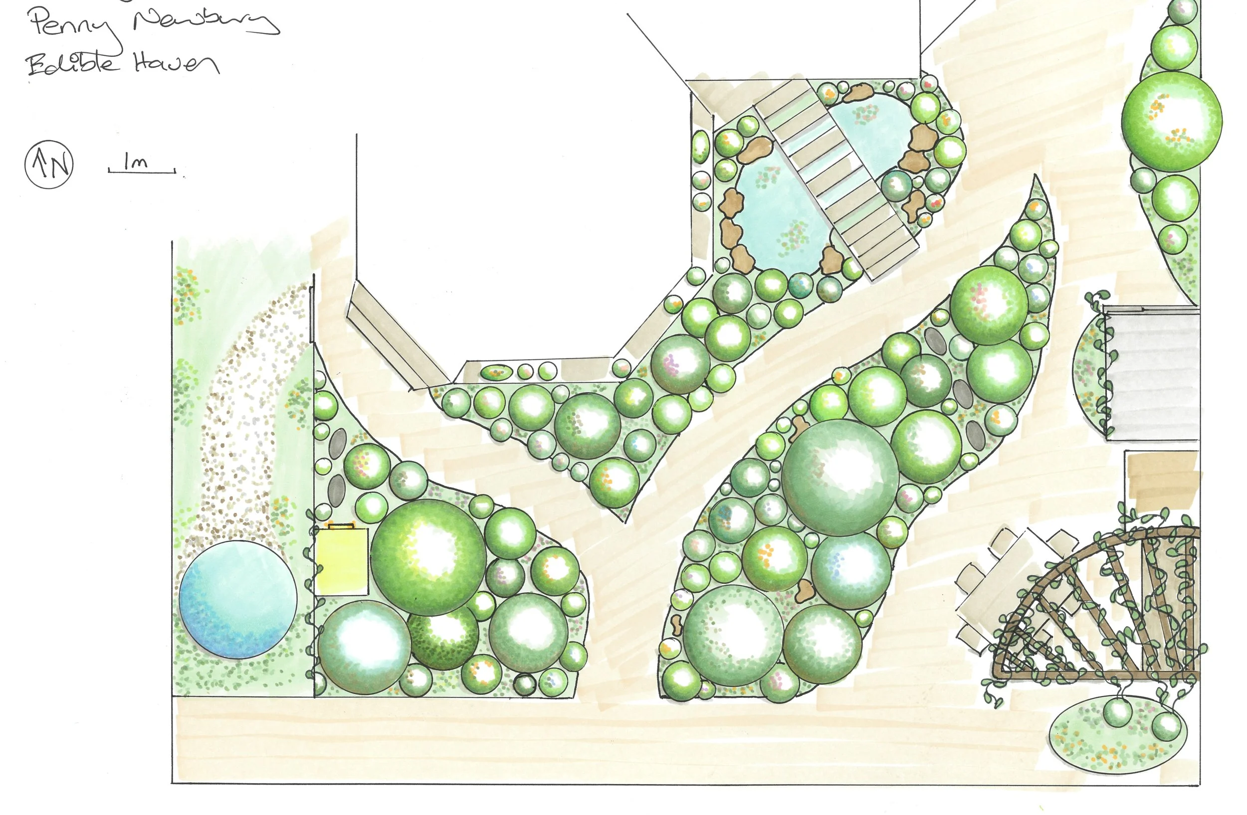 Back yard design for website.jpg