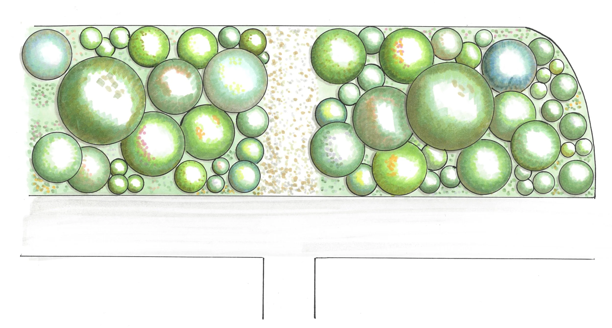 Verge for website .jpg