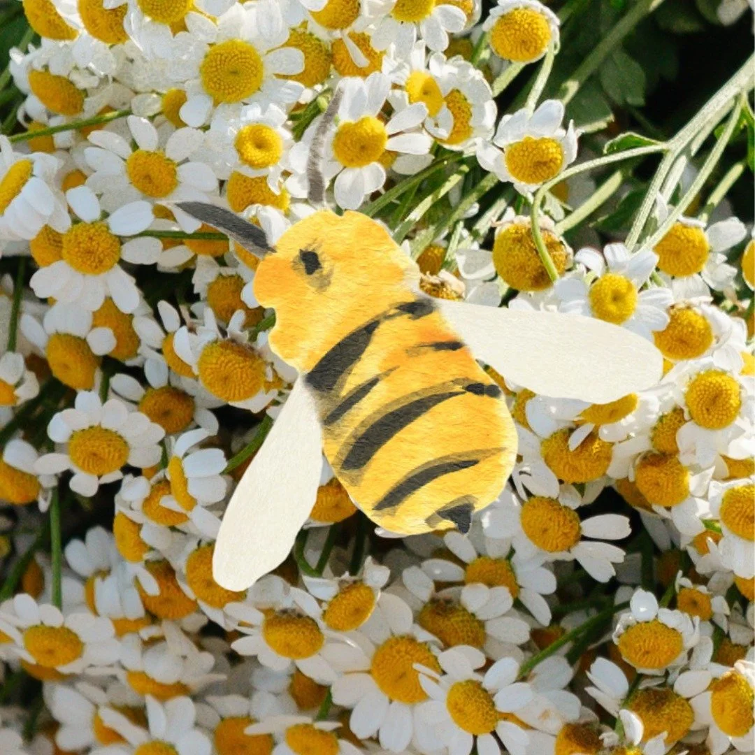 Made with all the world&rsquo;s gardens and its creatures in mind. See the website to learn more.