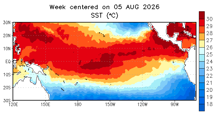 Reef-World x PADI: Marine Tourism’s Frontline Against El Niño