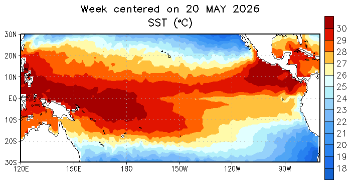 GIF showing sea surface temperatures in the Pacific in 2026. It shows the movement of dark red (+30 C) across the Pacific from May - August 2026