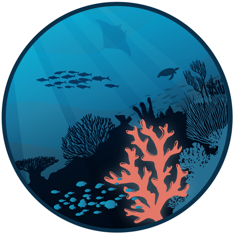 About Coral Reefs | Facts, ecosystems and biodiversity — The Reef-World ...