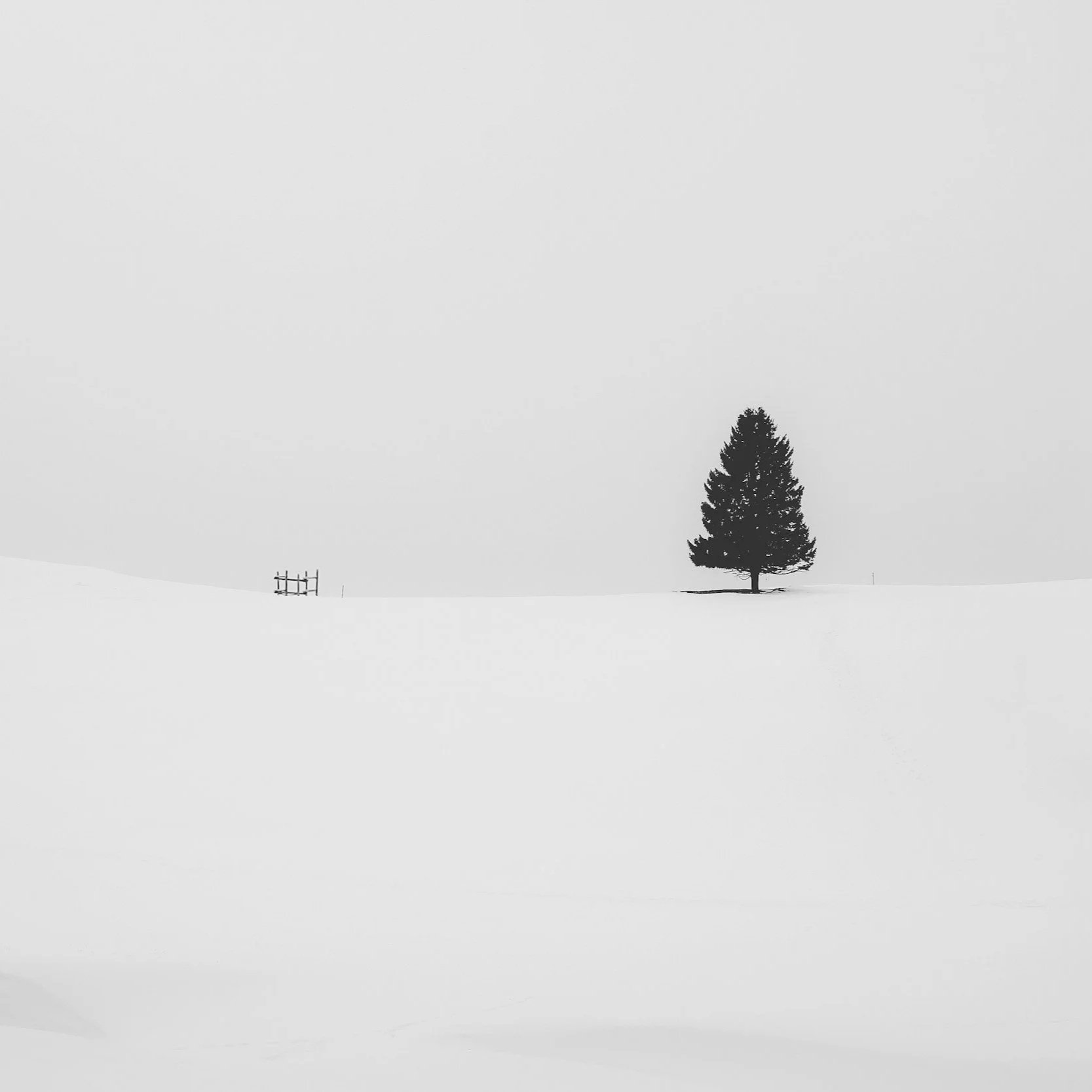 imagine winter