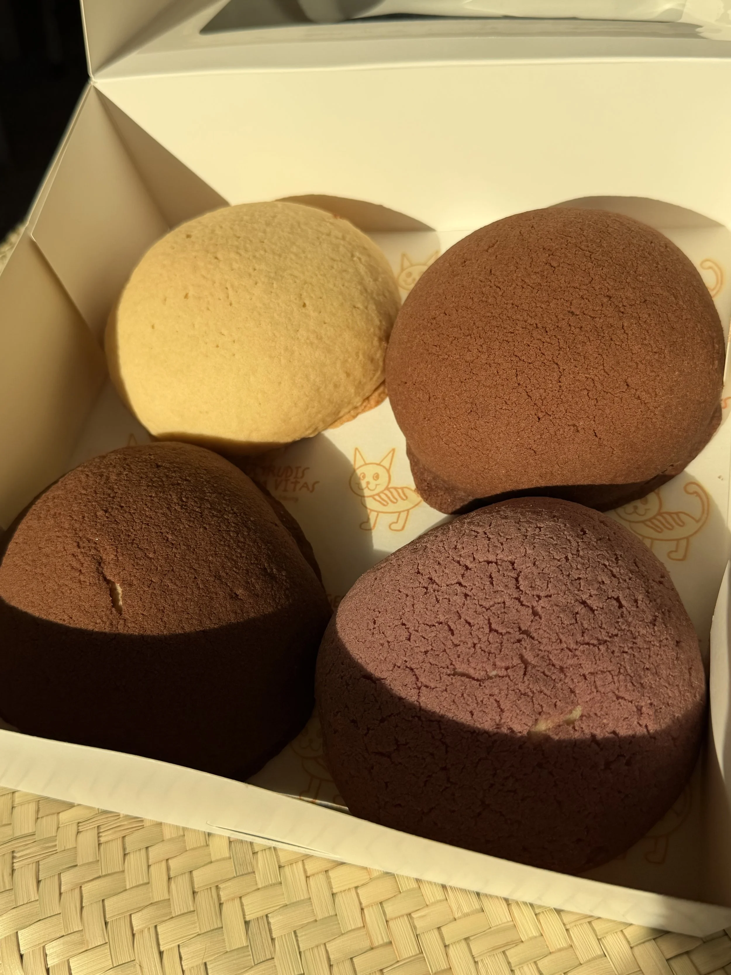 Gertrudis Sourdough Conchas