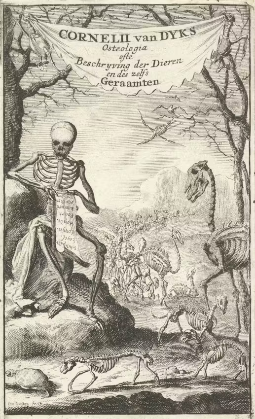 skeleton man and creatures in meadow