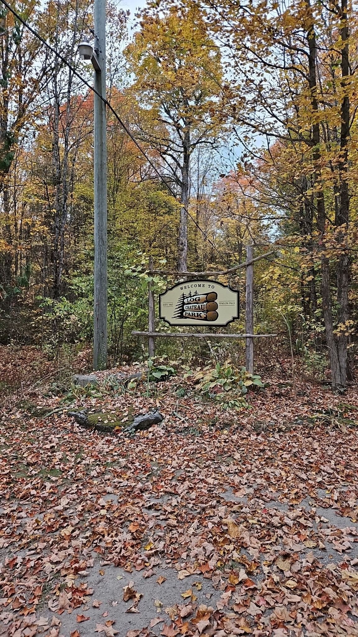 Sign for "Log Chateau Park" in autumn forest with fallen leaves on the ground.