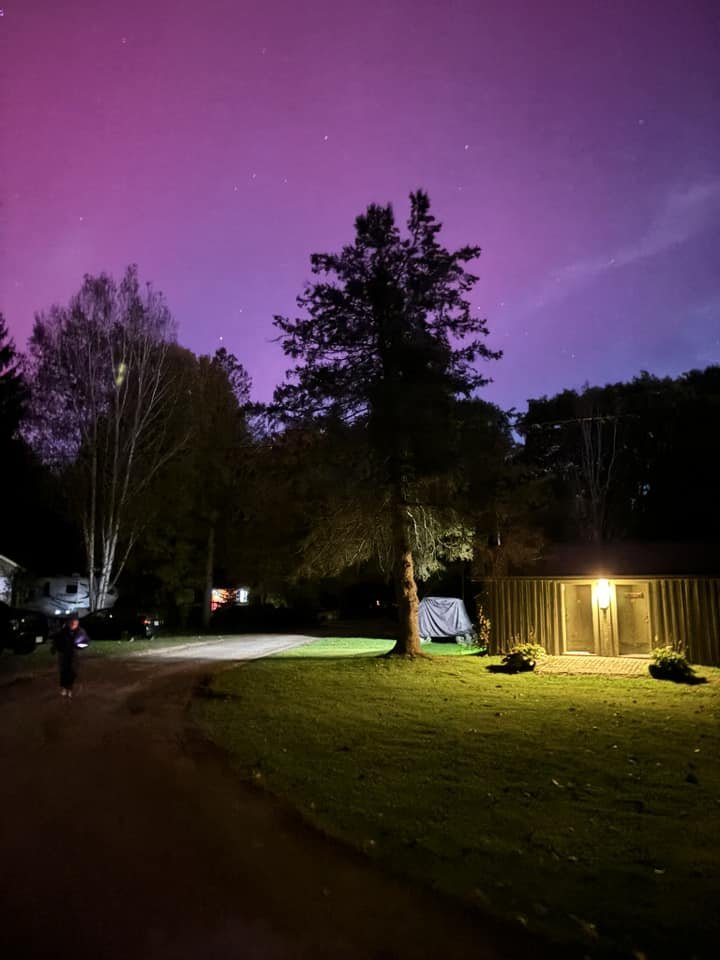 Night scene with a purple sky and stars, featuring silhouetted trees and a small building with a light above the door, located on a grassy area with a path nearby.
