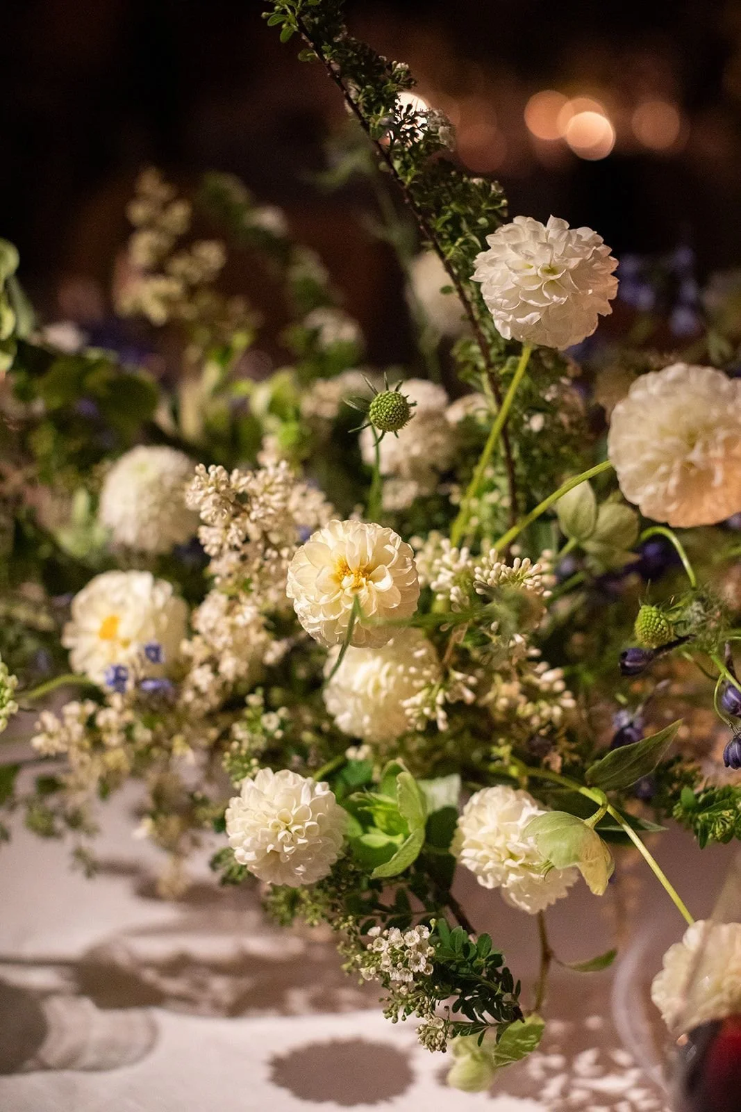 D6F5tqFA.jpeg