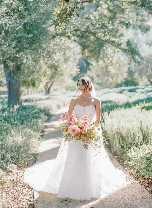  Fall 

 La Tarantella → 