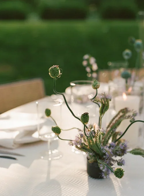  Spring 

 Bear Flag Farm → 