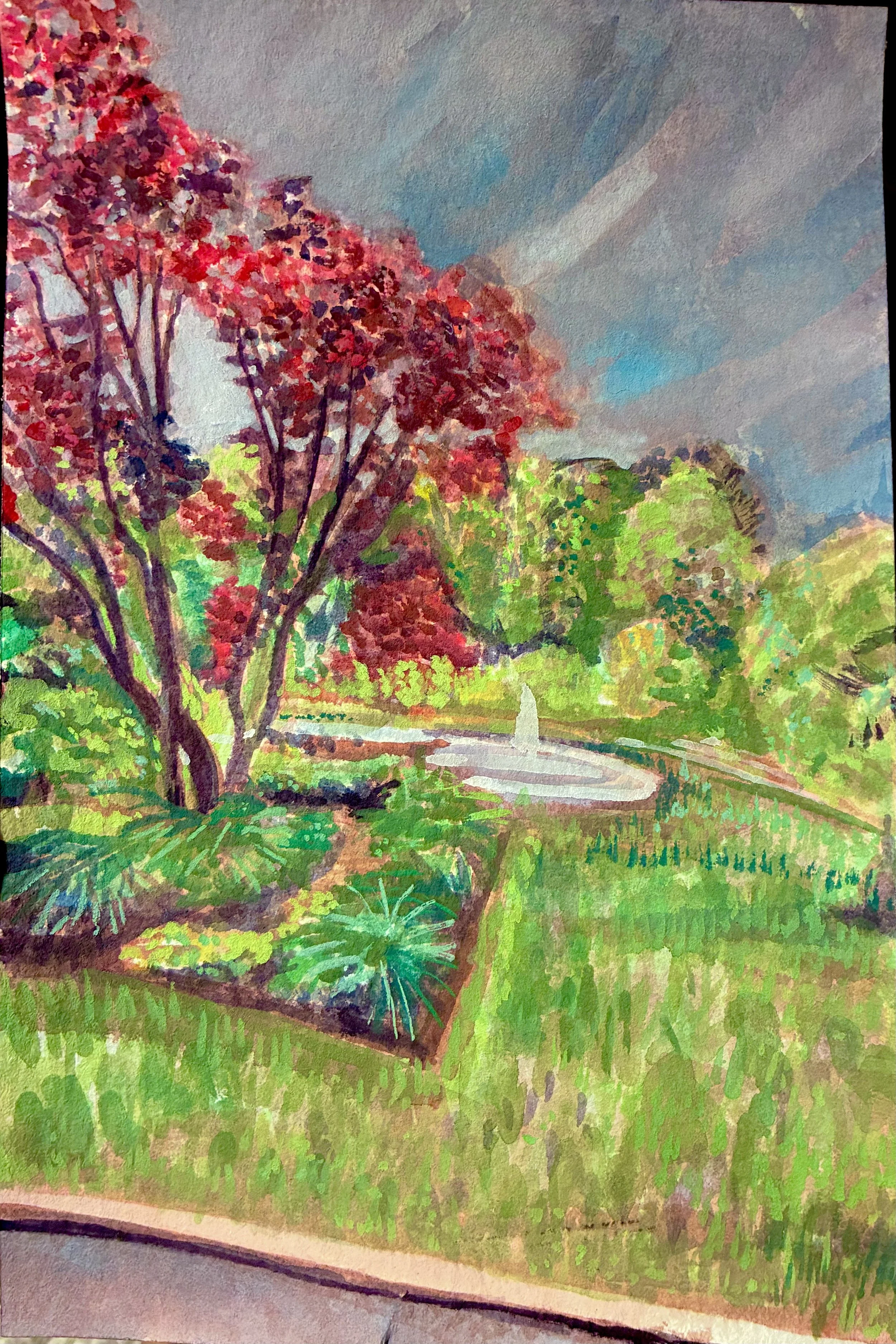Maple at Mount Auburn