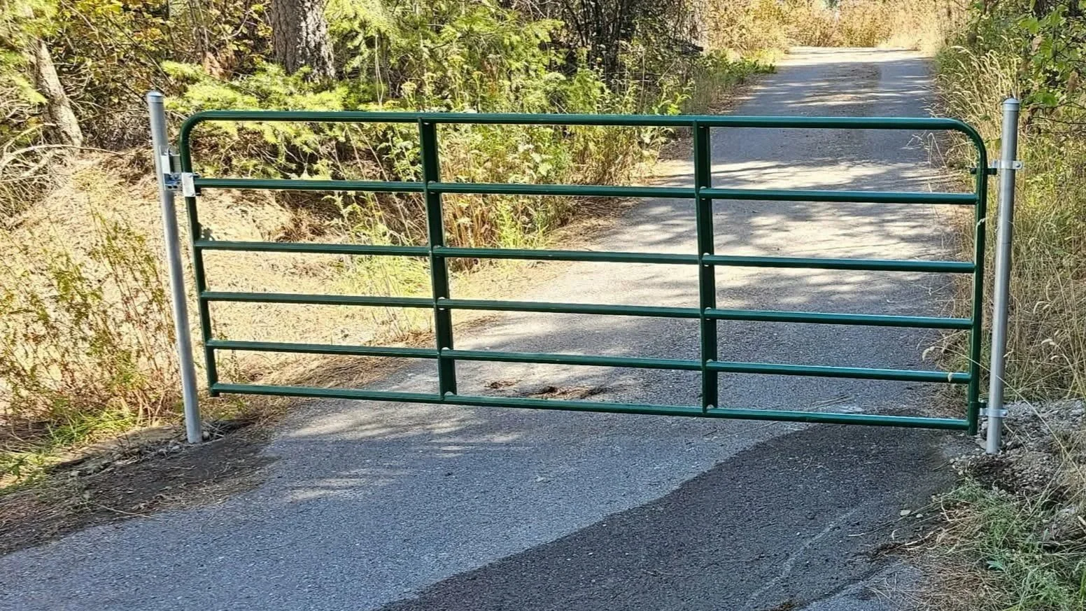 Green metal gate blocking a dirt road surrounded by tall grass and trees.