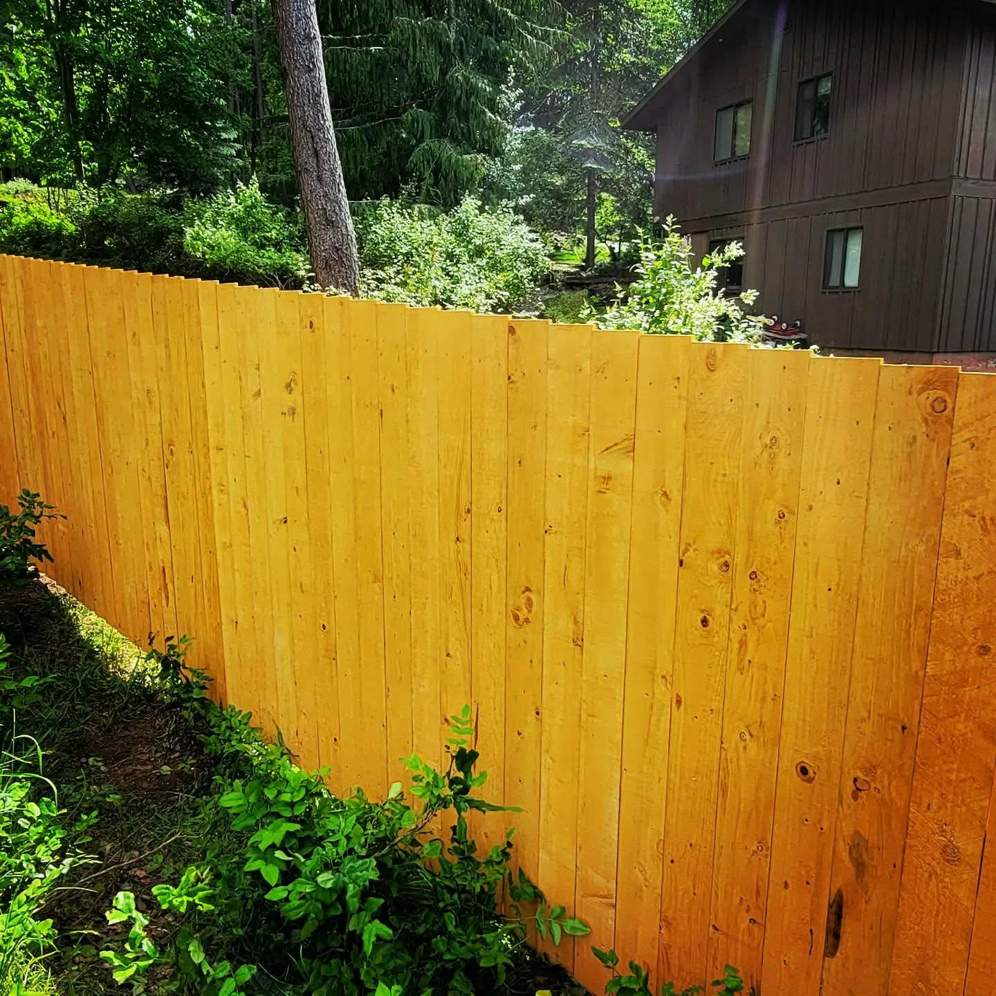 A freshly installed wooden fence with vertical slats in a yard, surrounded by green plants and trees. A house with dark siding is in the background.