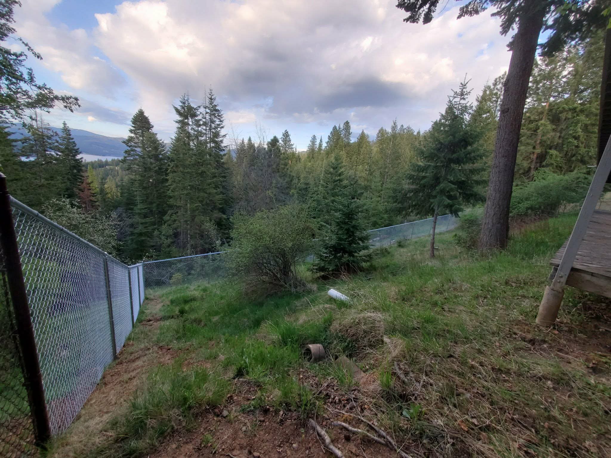 A backyard with a chain-link fence, trees, grass, a hillside, and a partly cloudy sky.