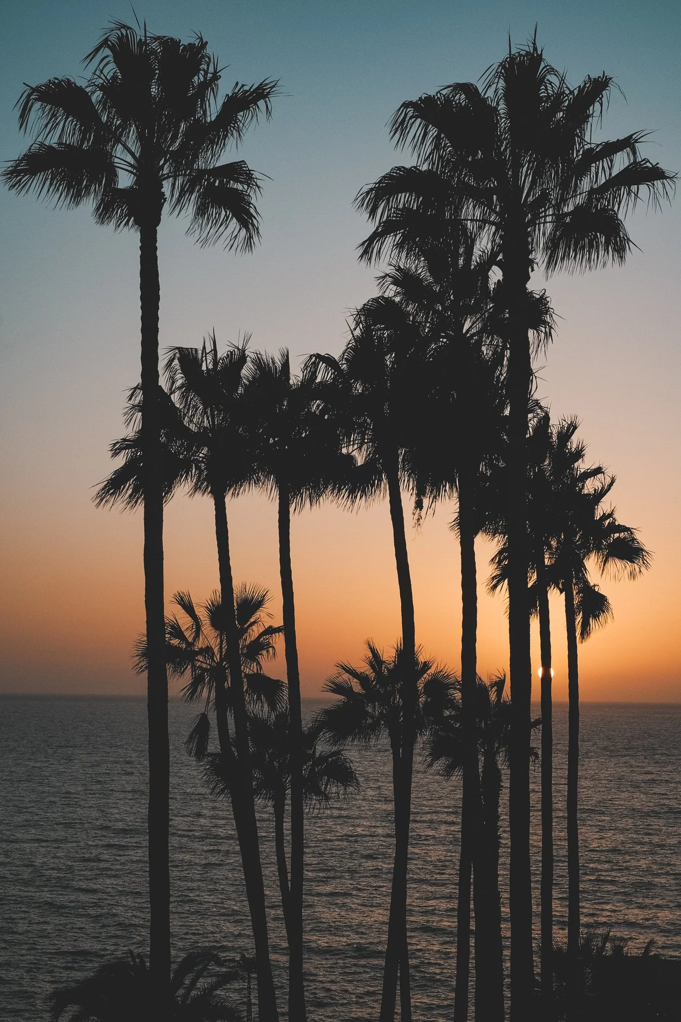 Eterna Primarvera: Tenerife and the Endless Spring