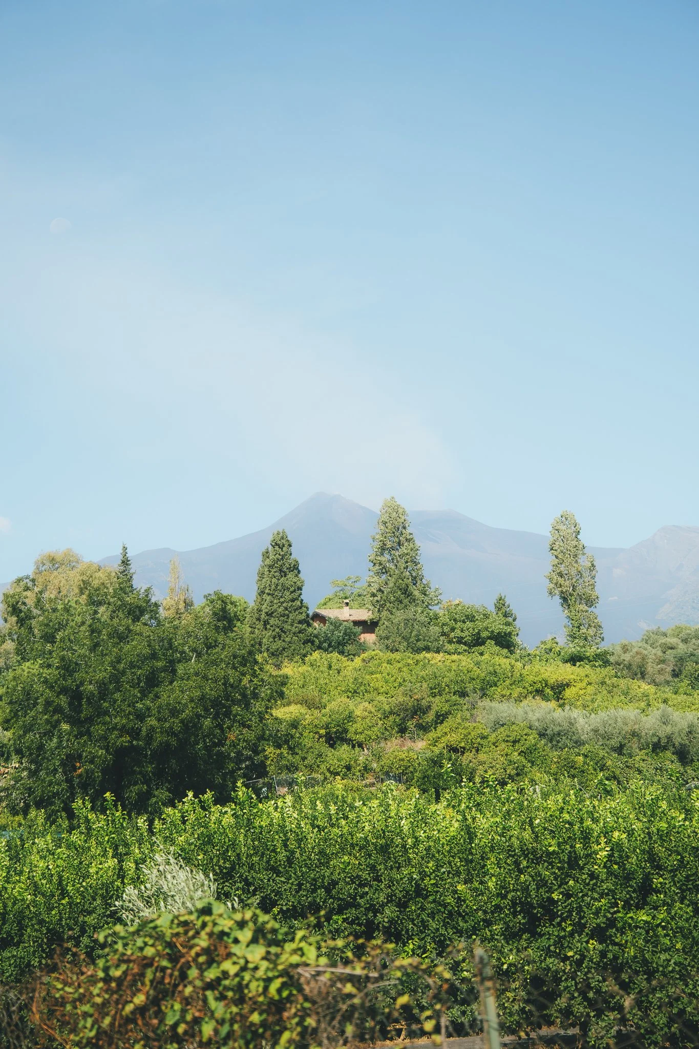 Italy Naples to Sicily Two Volcanoes-110.jpg