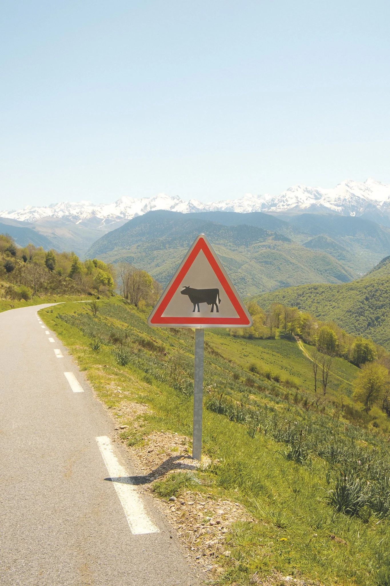 haute pyrenees cycling -32.jpg