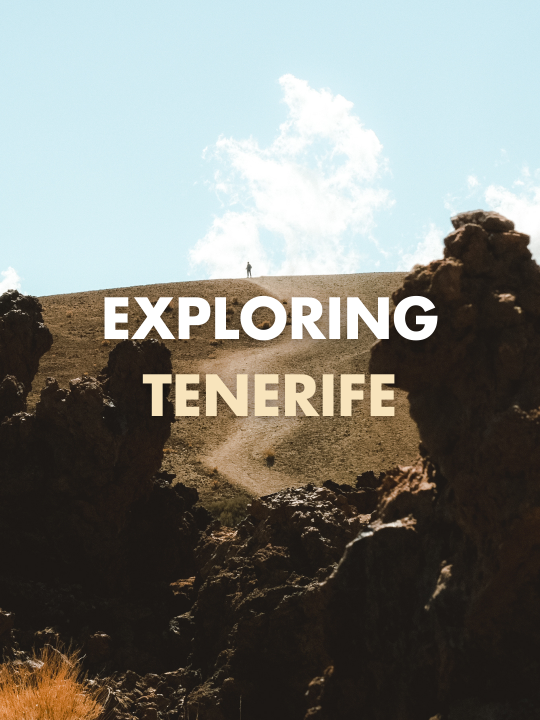 EXPLORING TENERIFE
