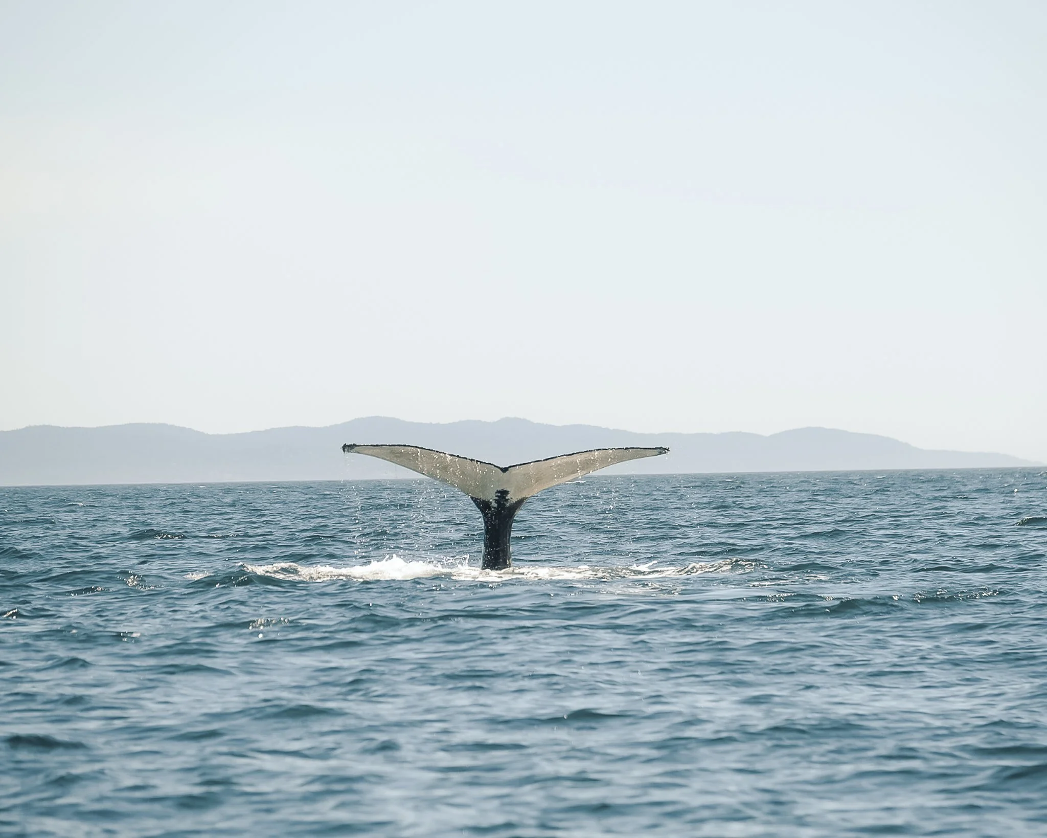 Canada whistler and rocky mountains-143.jpg