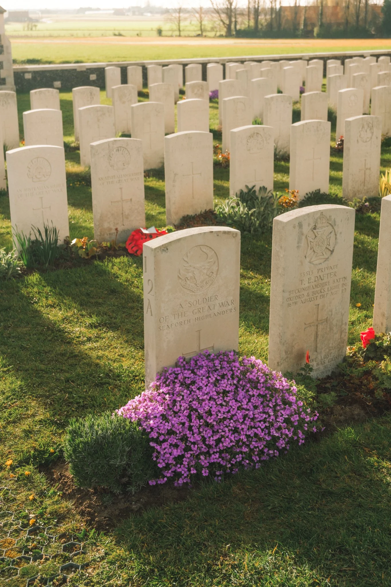 Ronde van Vlaanderen 2026-11.jpg