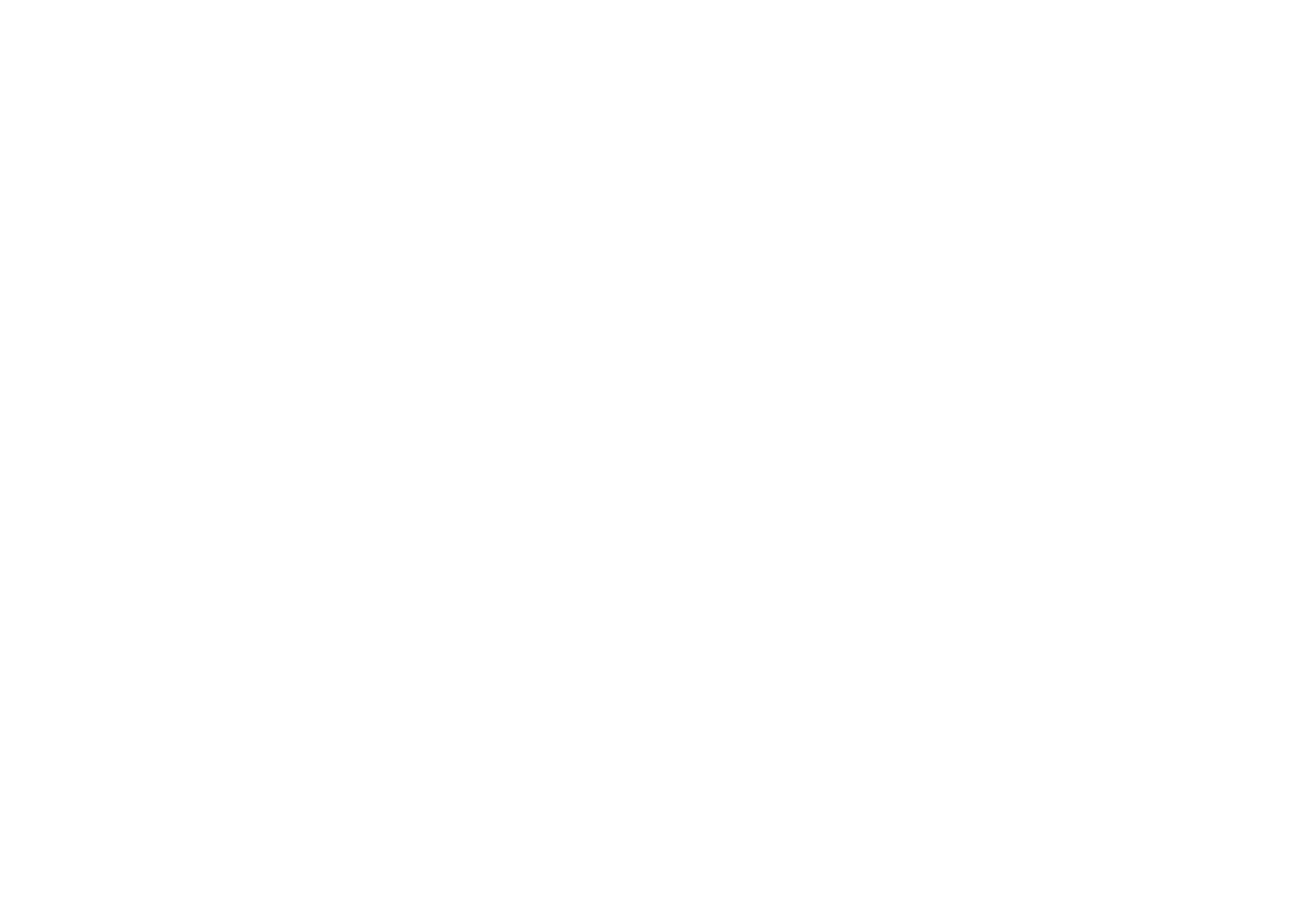 A black and white logo featuring a stylized mountain with a letter "A" and the word "everest" below in lowercase letters.