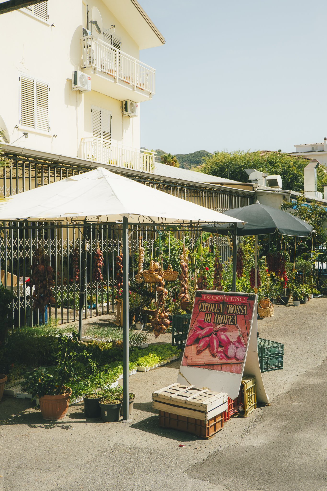 Italy Naples to Sicily Two Volcanoes-087.jpg