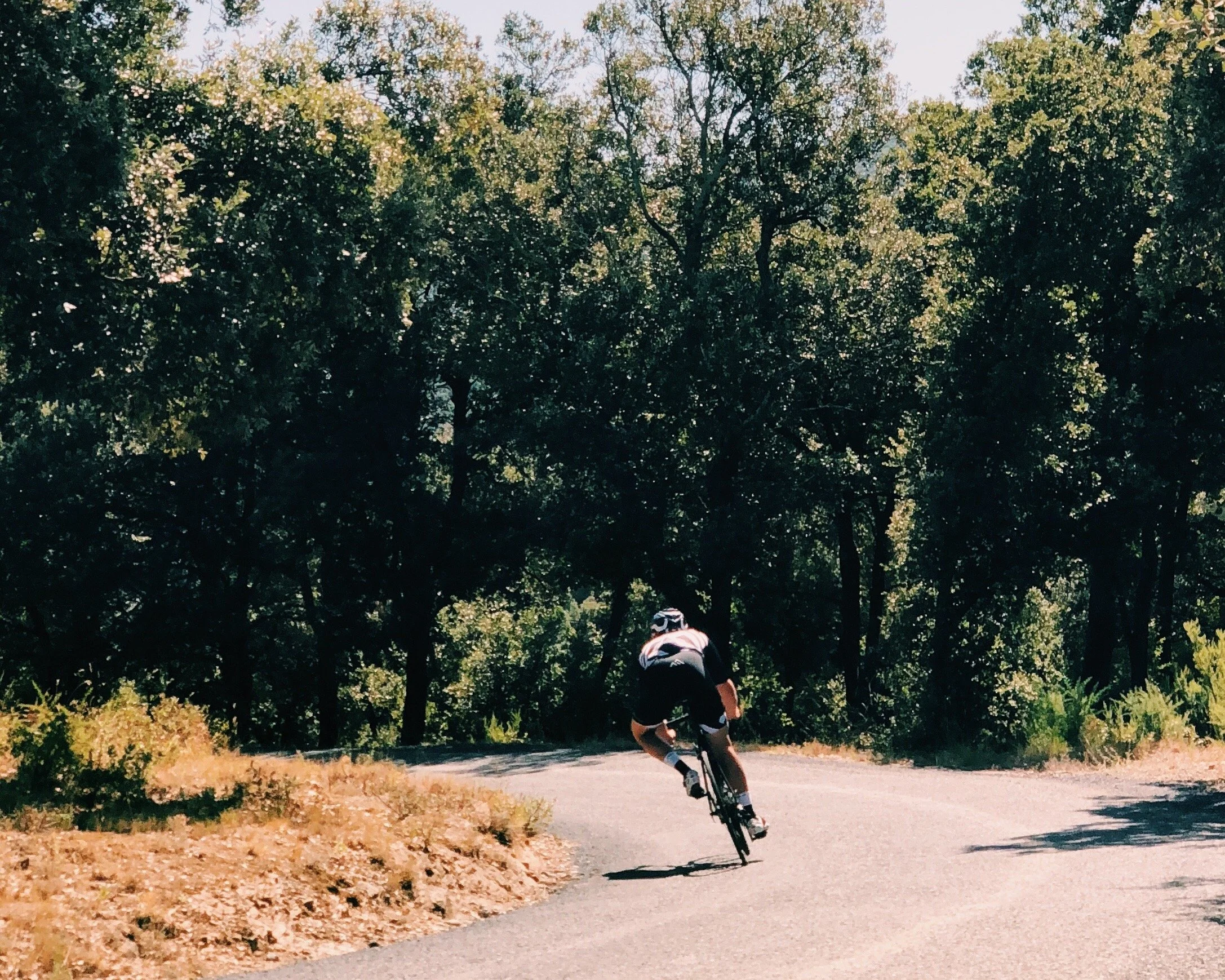 A person riding a bicycle on a road surrounded by trees with green leaves. The bicycle rider is wearing a helmet and sportswear.