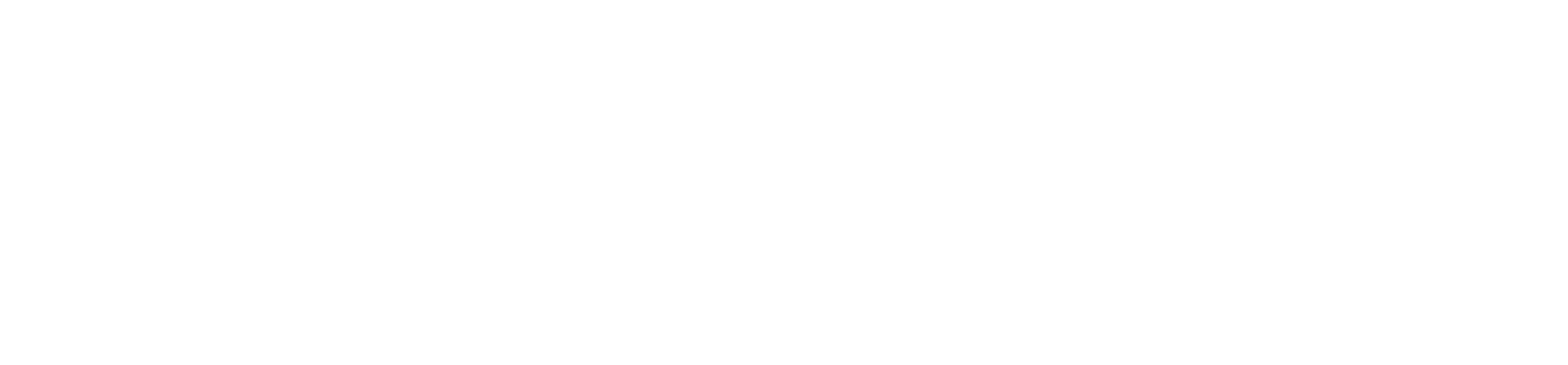 Stylized white logo for 'OfficialTravelPartner' on a black background.