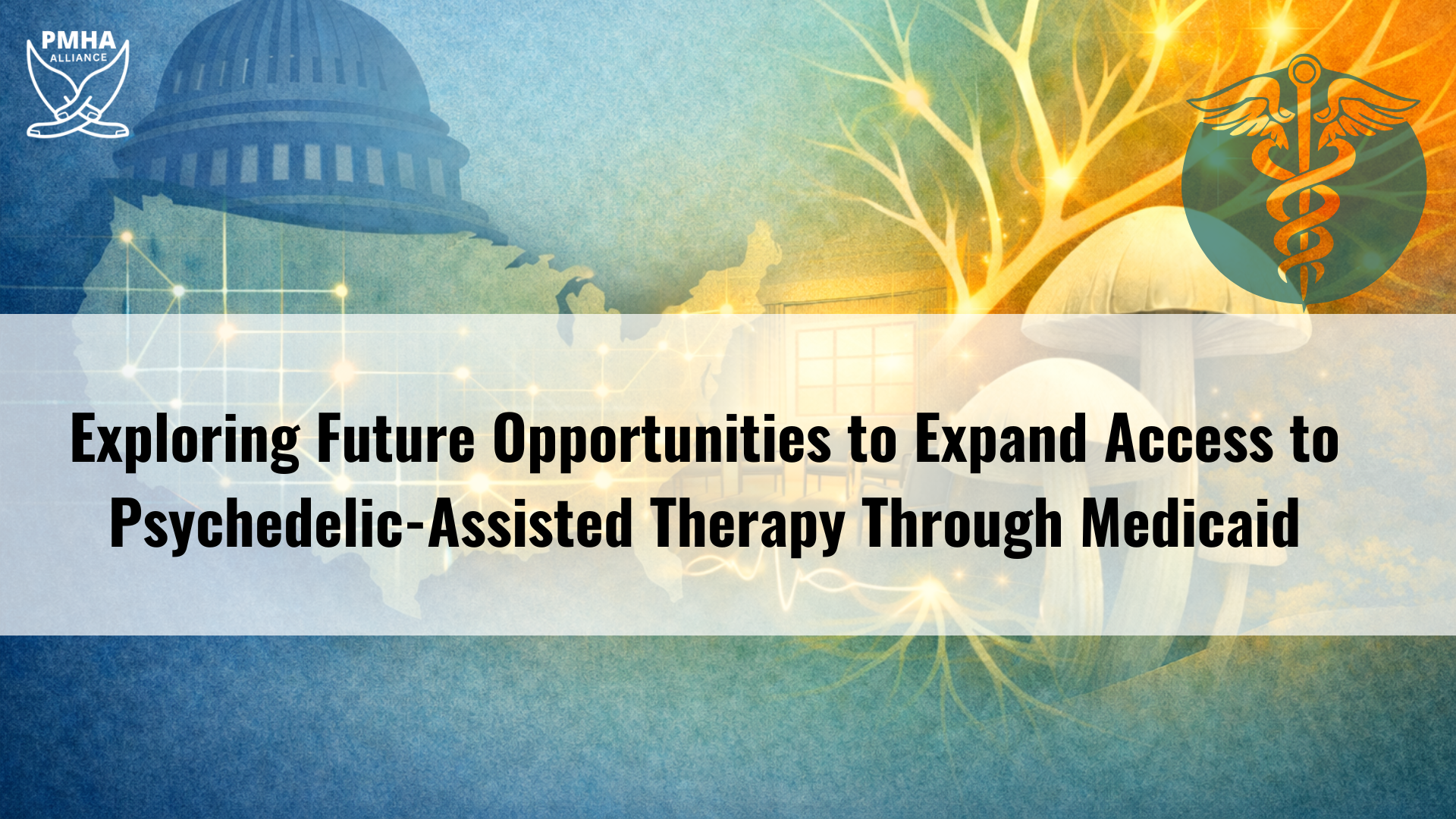 On the Horizon: Expanding Access to Psychedelic-Assisted Therapy Through Medicaid&nbsp;