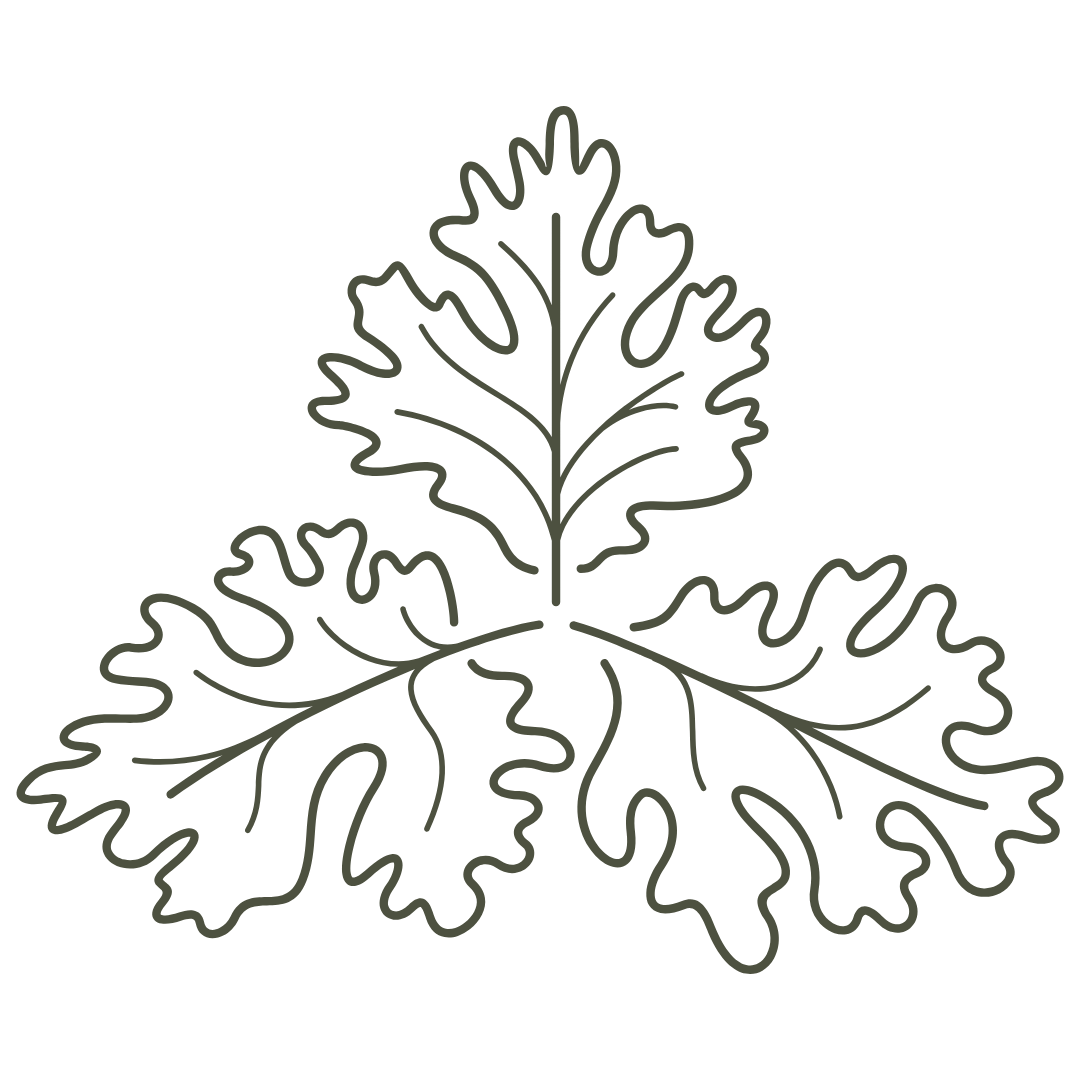 Line drawing of three stylized leaves, with one positioned vertically and the other two below, arranged in a fan-like pattern.