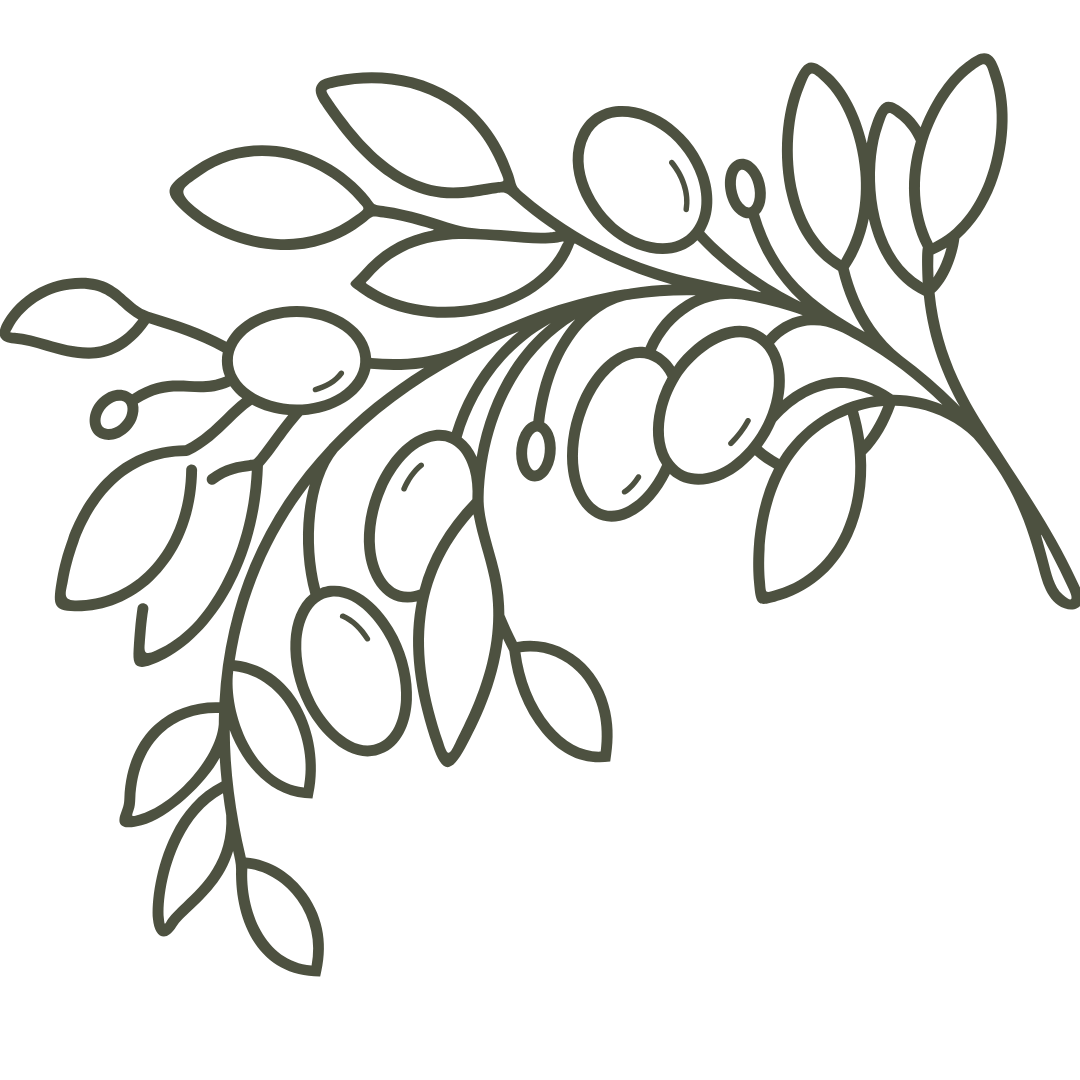 Line drawing of an olive branch with leaves and olives.