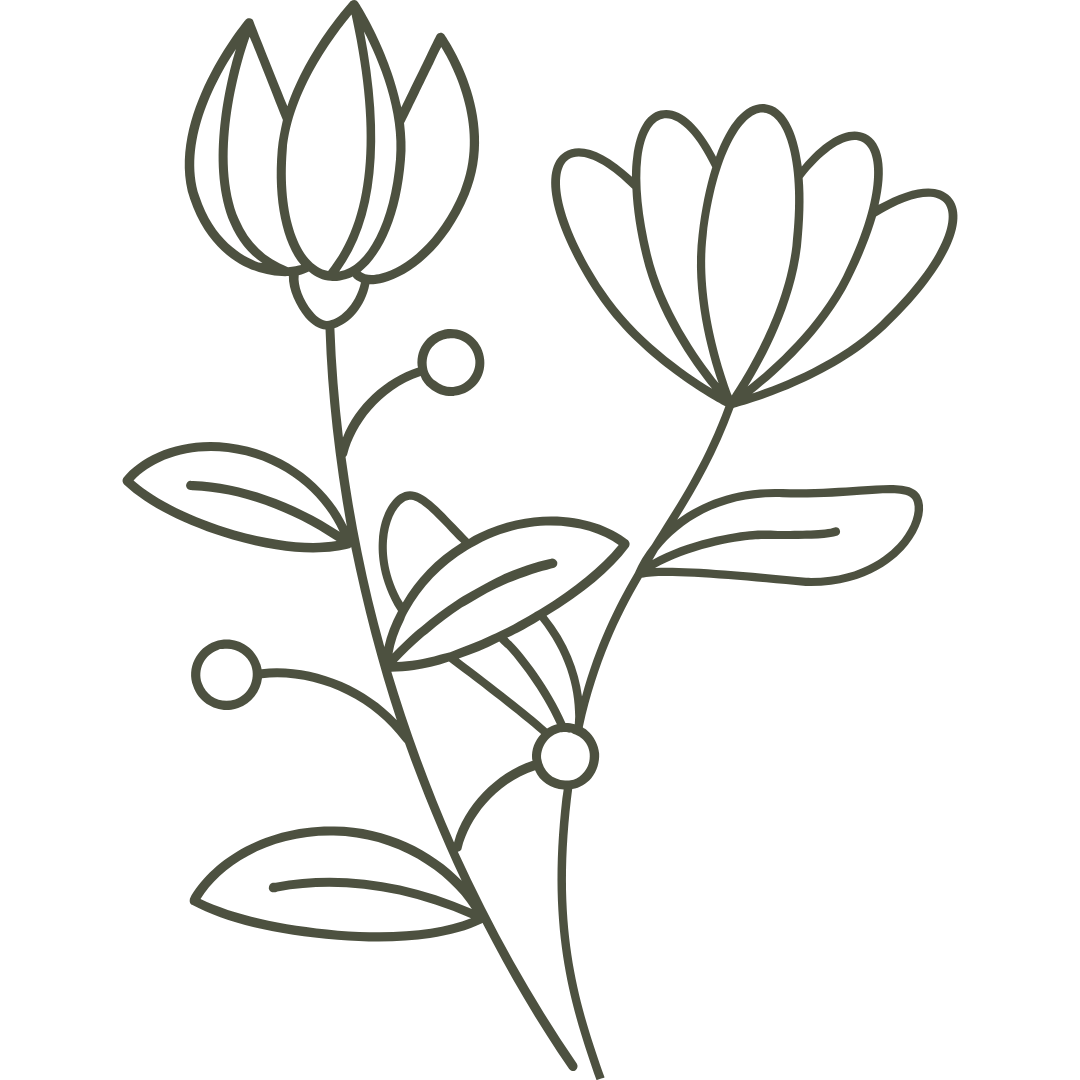 Line drawing of a botanical flower with two large flowers, several leaves, and small circular buds on a black background.