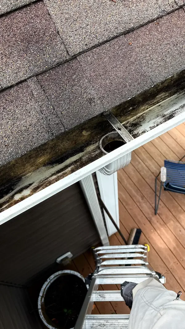 Clean seamless aluminum gutter after professional gutter cleaning service