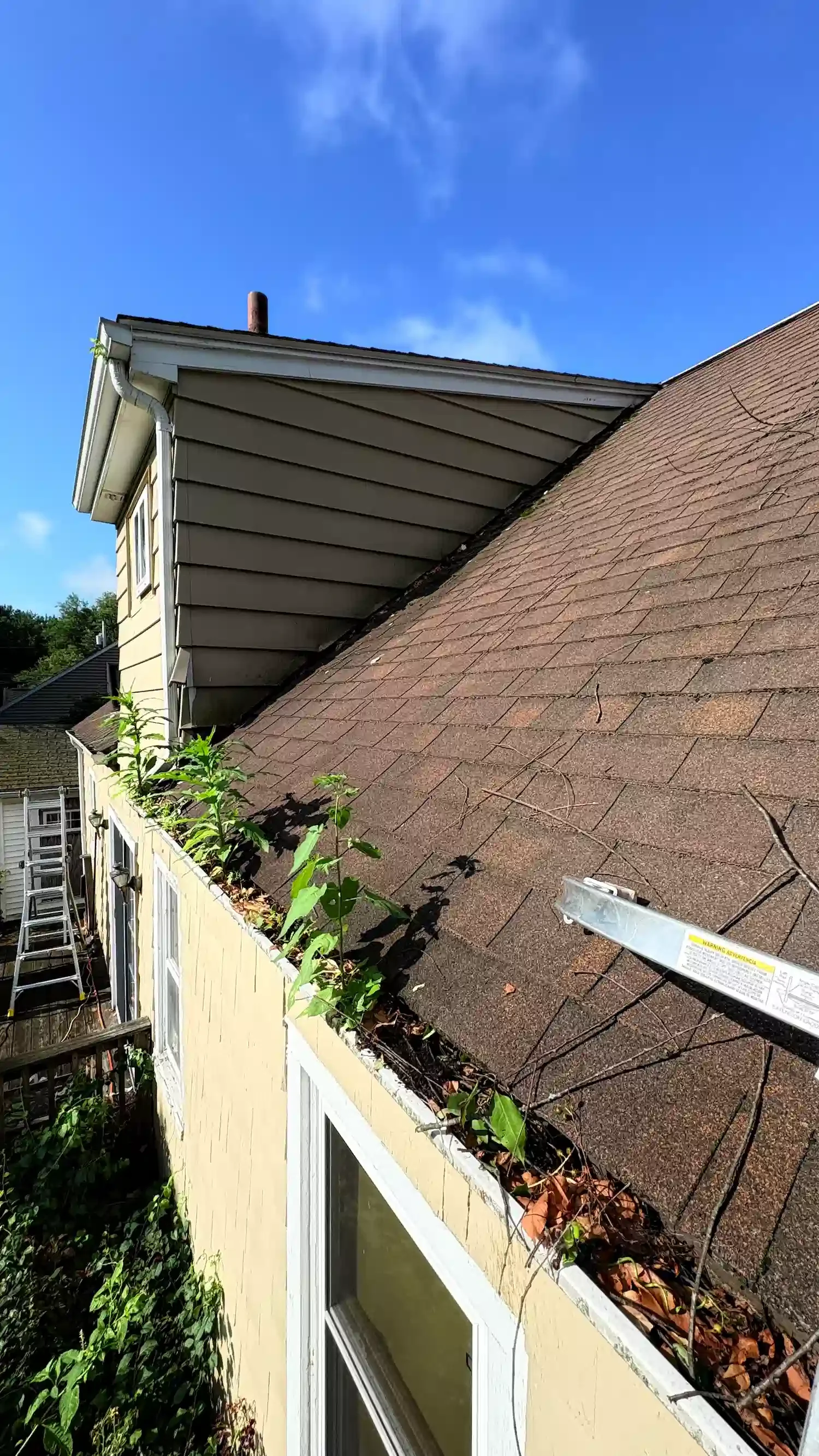 Removing clogged leaves from gutters in Holyoke neighborhood