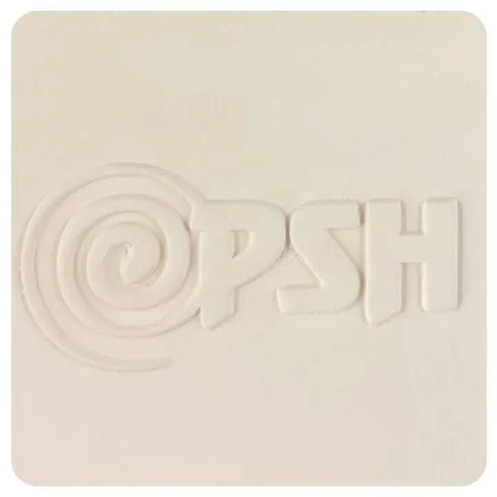 PSH Slip Casting Clay - Lightcast