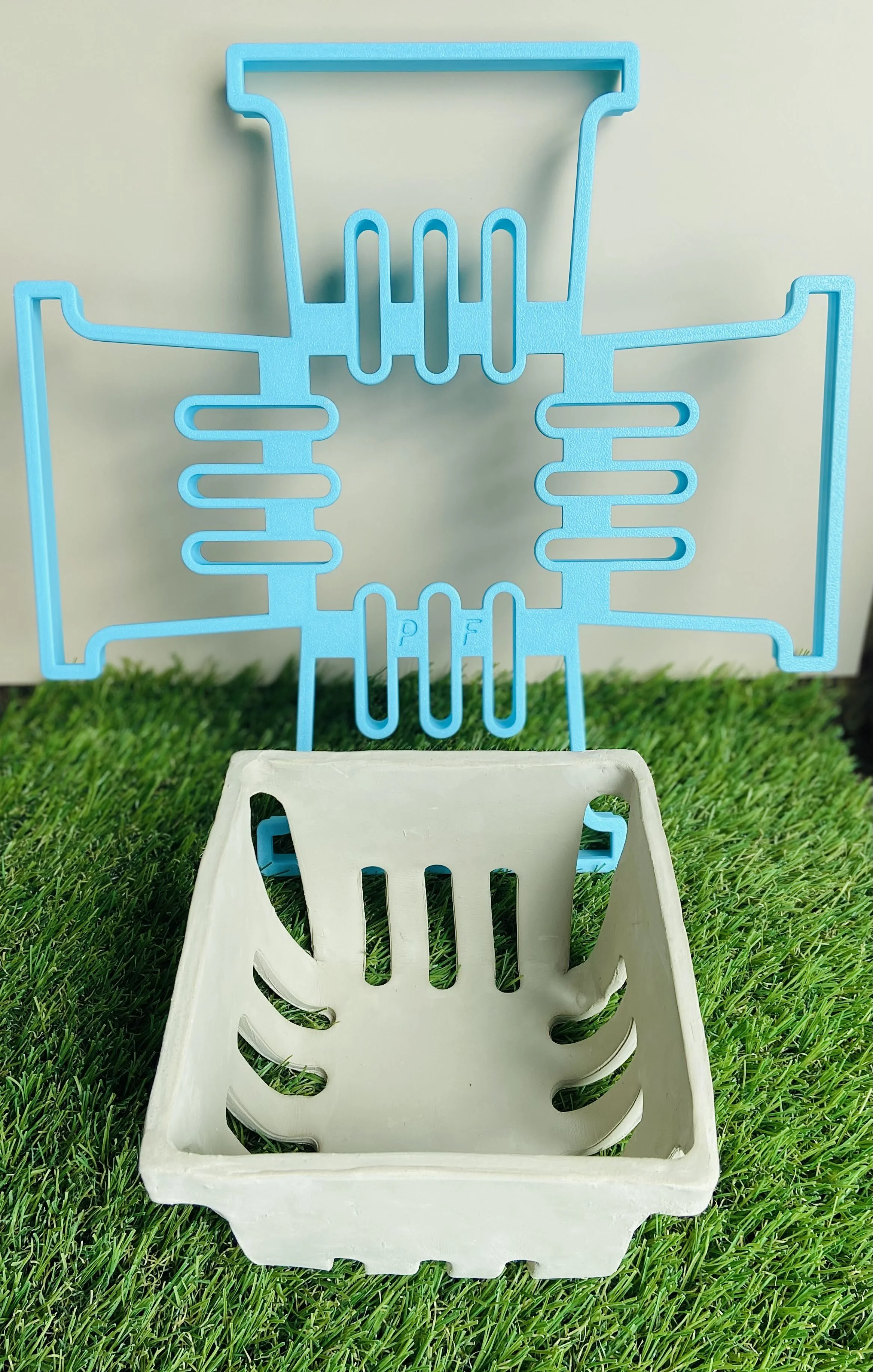 Berry Basket - with example.jpg