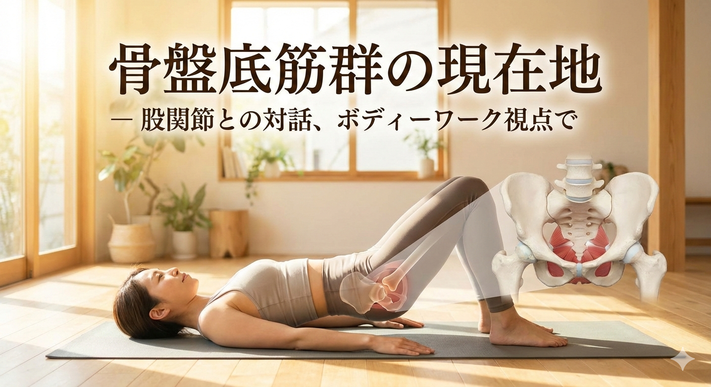 骨盤底筋群の講座を行います