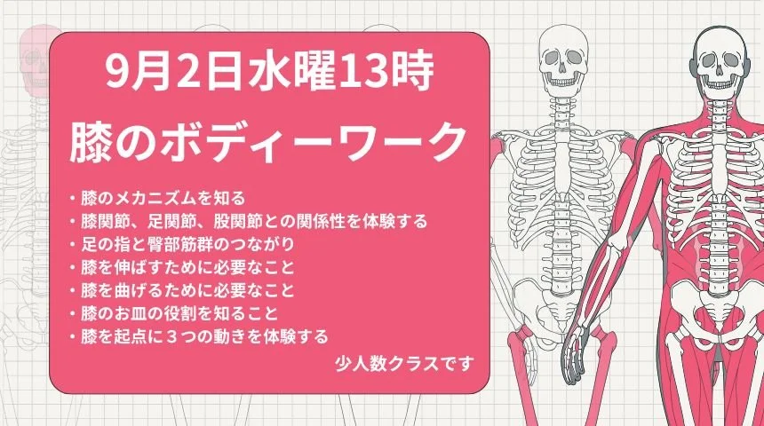 膝の痛みはそのままにしない
