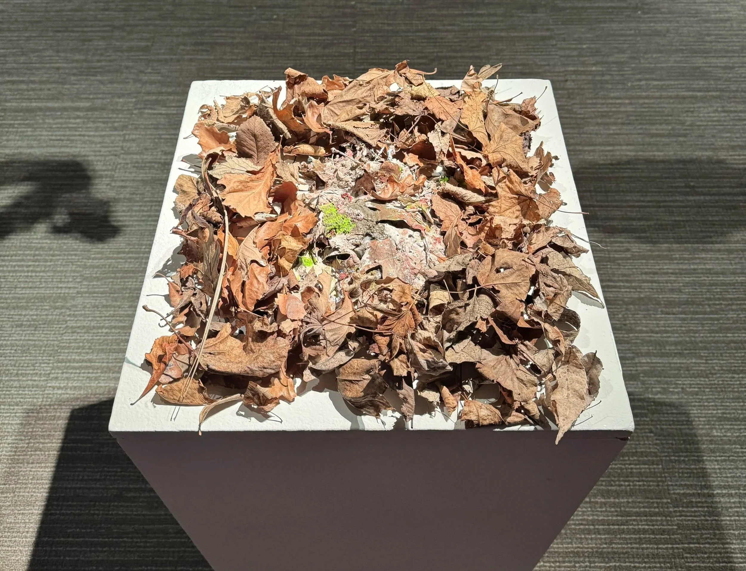 Offering, 2025. Detail.