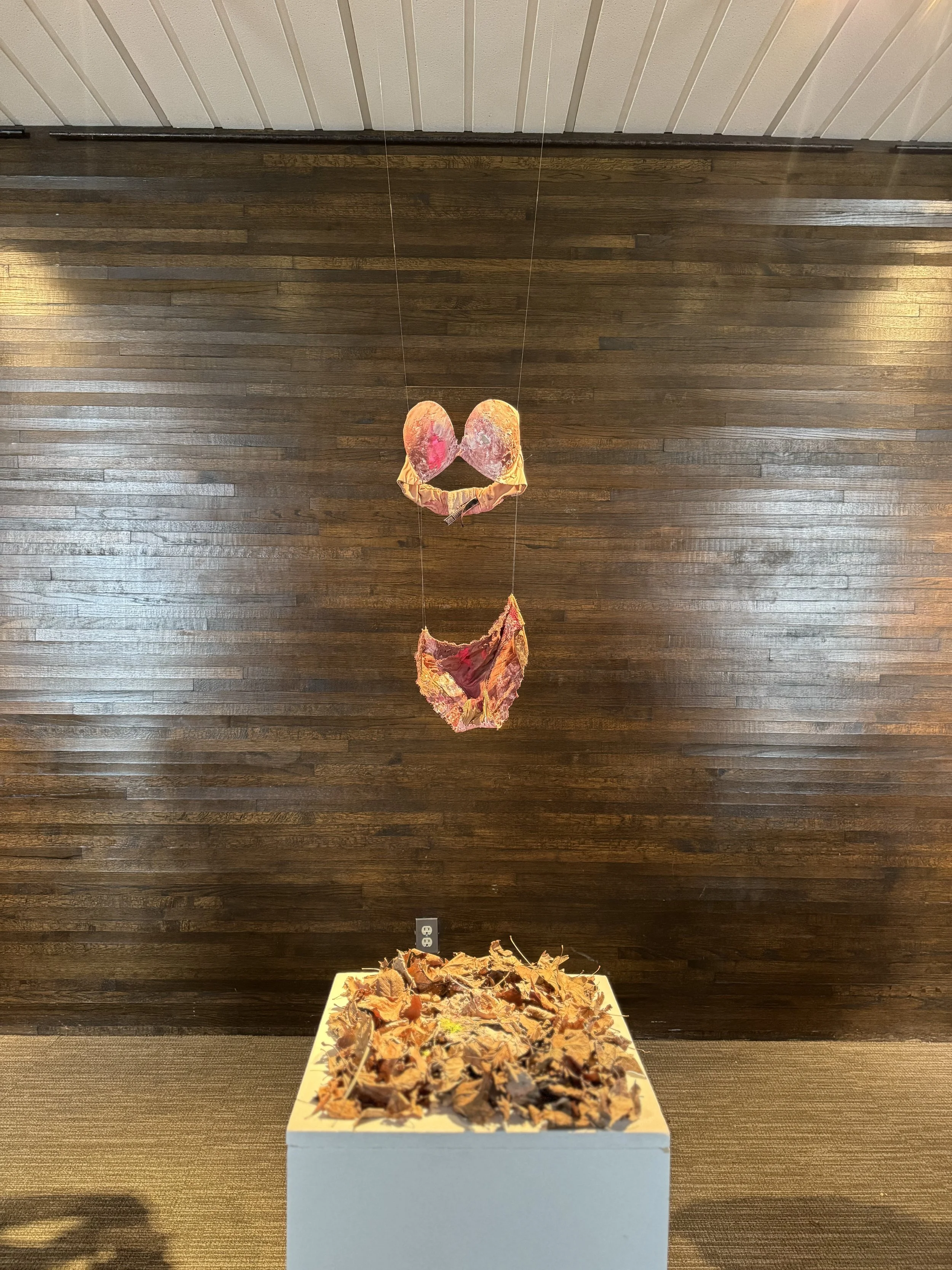 Offering, 2025.
72in. x 20in. 
Undergarments, leaves, residual spackle, house and acrylic paints, dirt, leaves.