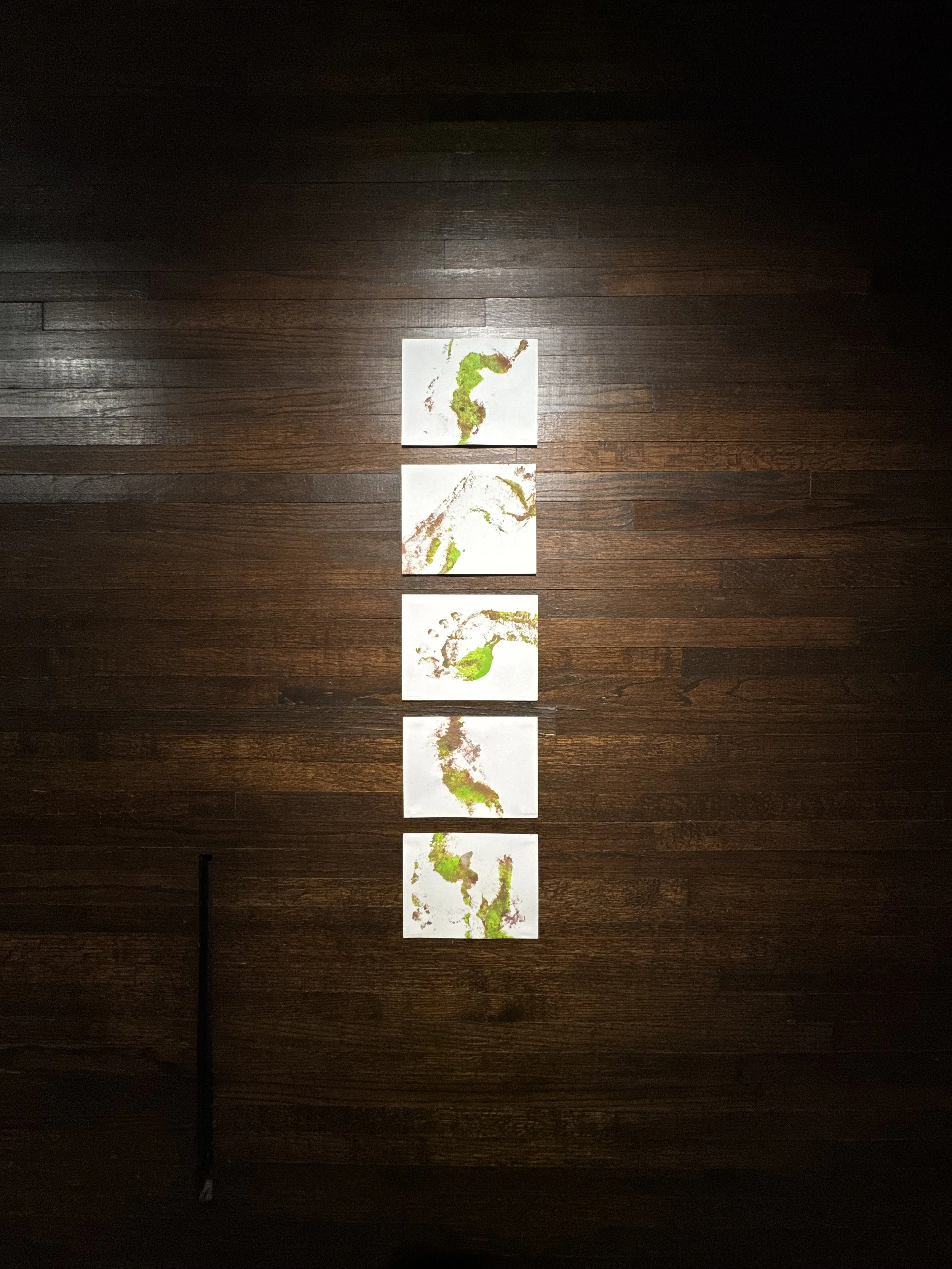 Footprints, 2025.
3in. x 4in. 
Residual paint, spackle, and dirt.