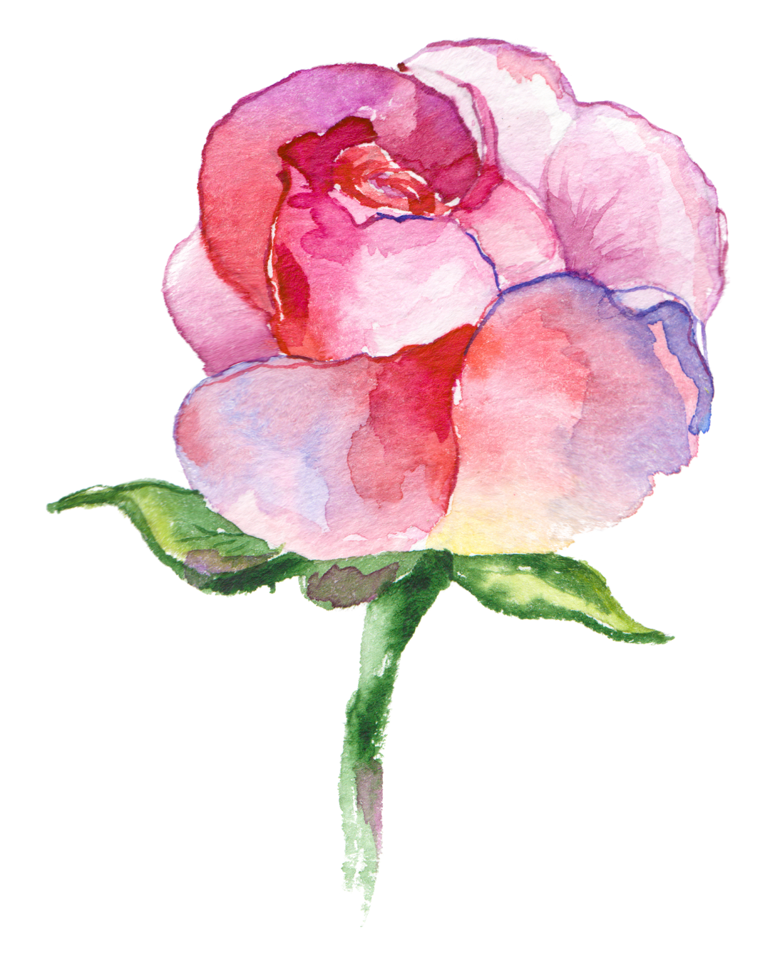 Artist’s Way: Third Spring ‘26 Section