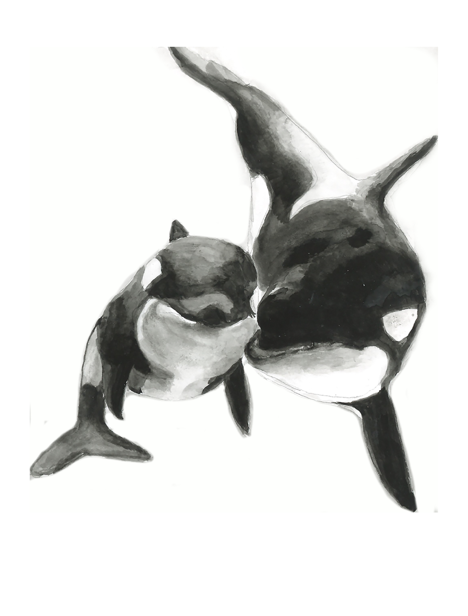 The Artist's Way Class: Orca Section (Zoom)