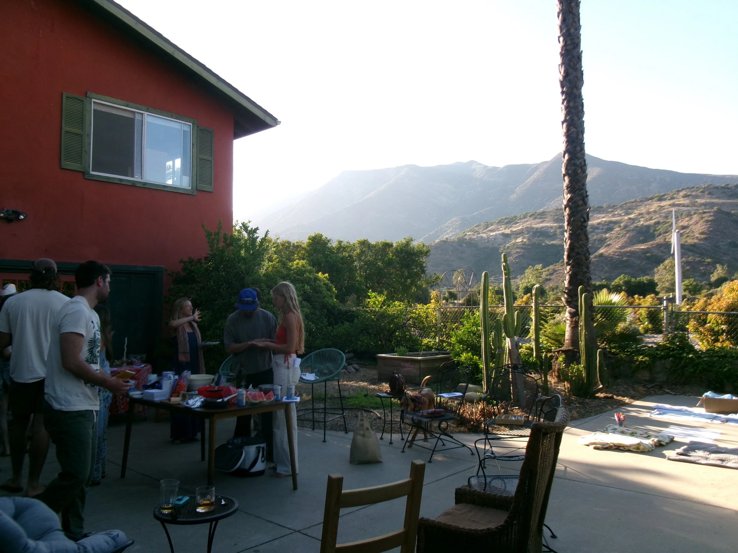 100_0235 2.JPG